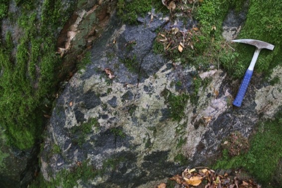 Magma-Mingling zwischen einer leukokraten Schmelze syenitischer Zusammensetzung und einem mafischen Magma, welches heute als Hornblende-Diorit vorliegt? Oder doch eher eine metamorph überprägte Intrusionsbrekzie? (Foto: K. Obst)
