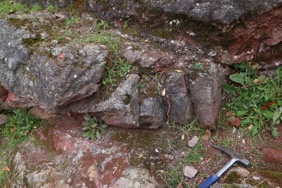 Versteinerter Baumstamm in oberkarbonischen Sedimenten unterhalb des Kyffhäuser-Denkmals. (Foto: K. Obst)